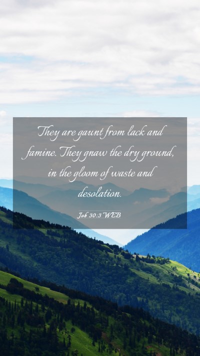 Picture 03 - Job 30:3 WEB Mobile Phone Wallpaper - They are gaunt from lack and famine. They gnaw - Mobile Bible Verse Wallpaper