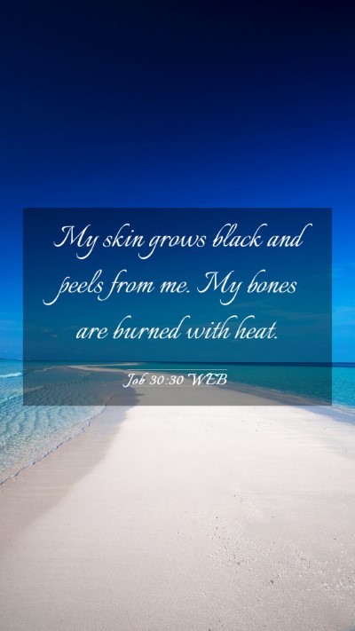 Picture 03 - Job 30:30 WEB Mobile Phone Wallpaper - My skin grows black and peels from me. My bones - Mobile Bible Verse Wallpaper