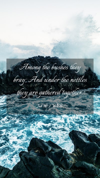 Picture 03 - Job 30:7 WEB Mobile Phone Wallpaper - Among the bushes they bray; And under the nettles - Mobile Bible Verse Wallpaper