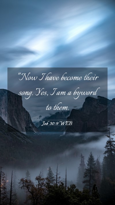 Picture 03 - Job 30:9 WEB Mobile Phone Wallpaper - 