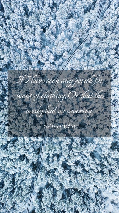 Picture 03 - Job 31:19 WEB Mobile Phone Wallpaper - If I have seen any perish for want of clothing, - Mobile Bible Verse Wallpaper
