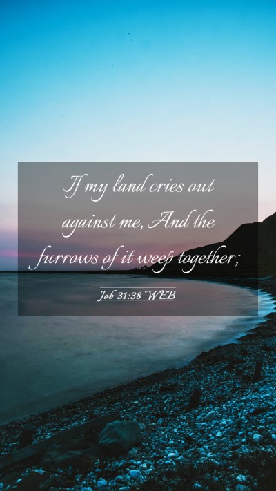 Picture 03 - Job 31:38 WEB Mobile Phone Wallpaper - If my land cries out against me, And the furrows - Mobile Bible Verse Wallpaper