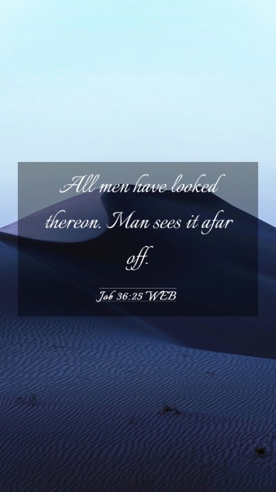 Picture 03 - Job 36:25 WEB Mobile Phone Wallpaper - All men have looked thereon. Man sees it afar - Mobile Bible Verse Wallpaper