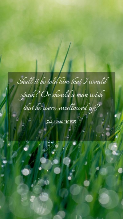 Picture 03 - Job 37:20 WEB Mobile Phone Wallpaper - Shall it be told him that I would speak? Or - Mobile Bible Verse Wallpaper