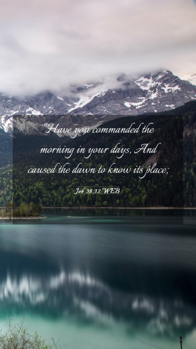 Picture 03 - Job 38:12 WEB Mobile Phone Wallpaper - 