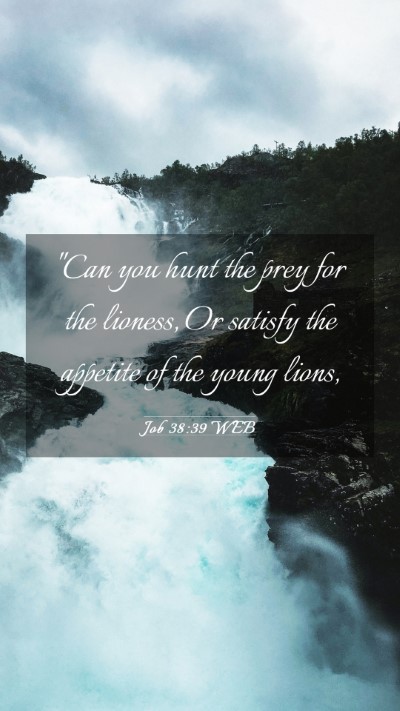 Picture 03 - Job 38:39 WEB Mobile Phone Wallpaper -