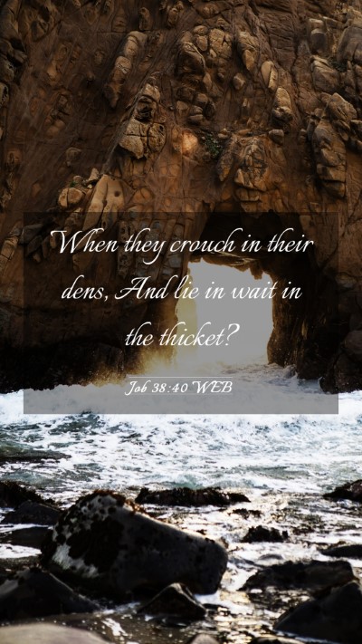 Picture 03 - Job 38:40 WEB Mobile Phone Wallpaper - When they crouch in their dens, And lie in wait - Mobile Bible Verse Wallpaper