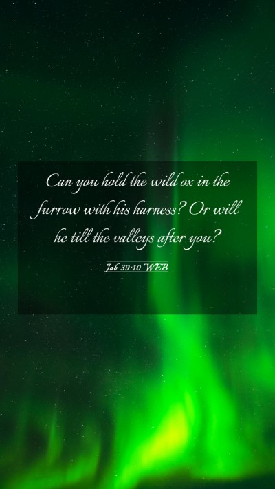 Picture 03 - Job 39:10 WEB Mobile Phone Wallpaper - Can you hold the wild ox in the furrow with his - Mobile Bible Verse Wallpaper