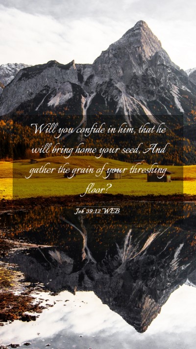 Picture 03 - Job 39:12 WEB Mobile Phone Wallpaper - Will you confide in him, that he will bring home - Mobile Bible Verse Wallpaper