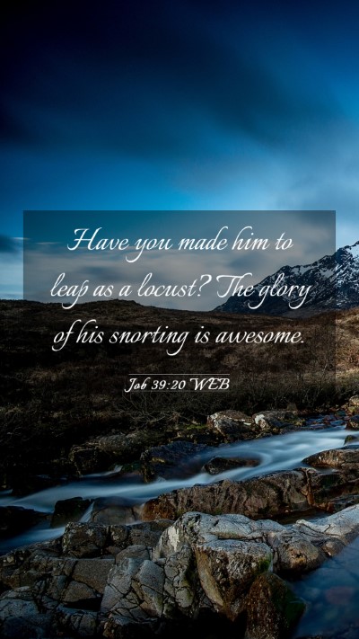 Picture 03 - Job 39:20 WEB Mobile Phone Wallpaper - Have you made him to leap as a locust? The glory - Mobile Bible Verse Wallpaper