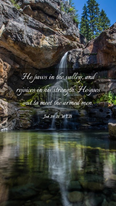 Picture 03 - Job 39:21 WEB Mobile Phone Wallpaper - He paws in the valley, and rejoices in his - Mobile Bible Verse Wallpaper