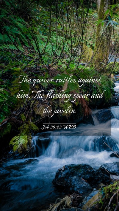 Picture 03 - Job 39:23 WEB Mobile Phone Wallpaper - The quiver rattles against him, The flashing - Mobile Bible Verse Wallpaper