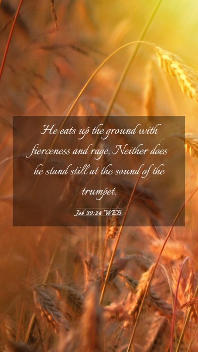 Picture 03 - Job 39:24 WEB Mobile Phone Wallpaper - He eats up the ground with fierceness and rage, - Mobile Bible Verse Wallpaper