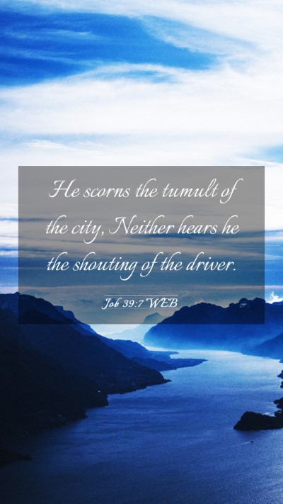 Picture 03 - Job 39:7 WEB Mobile Phone Wallpaper - He scorns the tumult of the city, Neither hears - Mobile Bible Verse Wallpaper