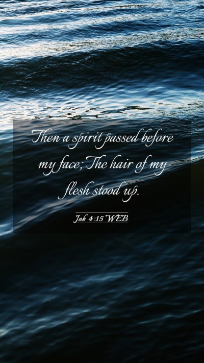 Picture 03 - Job 4:15 WEB Mobile Phone Wallpaper - Then a spirit passed before my face; The hair of - Mobile Bible Verse Wallpaper