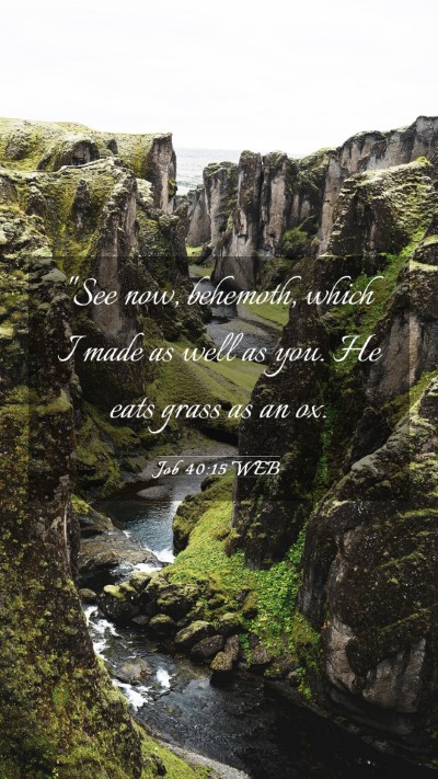 Picture 03 - Job 40:15 WEB Mobile Phone Wallpaper - 