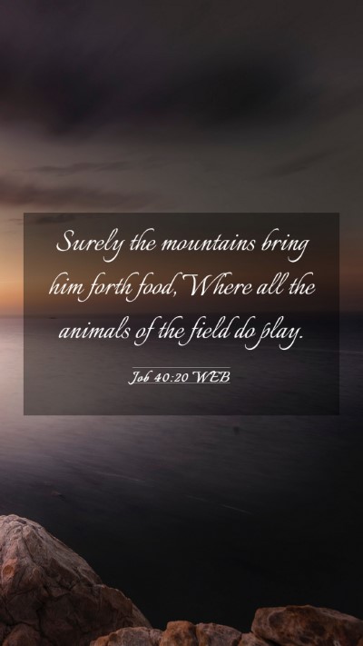 Picture 03 - Job 40:20 WEB Mobile Phone Wallpaper - Surely the mountains bring him forth food, Where - Mobile Bible Verse Wallpaper