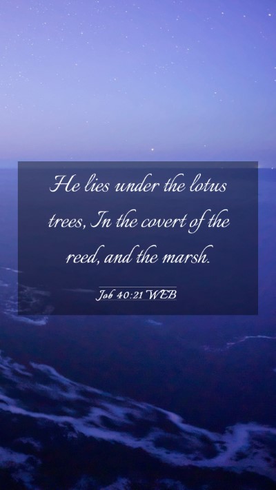 Picture 03 - Job 40:21 WEB Mobile Phone Wallpaper - He lies under the lotus trees, In the covert of - Mobile Bible Verse Wallpaper