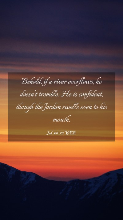 Picture 03 - Job 40:23 WEB Mobile Phone Wallpaper - Behold, if a river overflows, he doesn't tremble. - Mobile Bible Verse Wallpaper