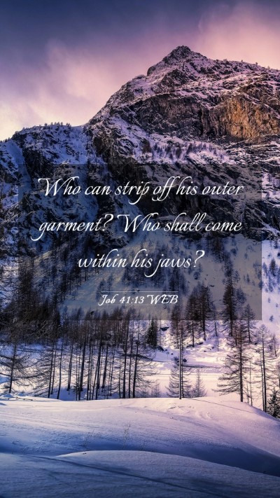 Picture 03 - Job 41:13 WEB Mobile Phone Wallpaper - Who can strip off his outer garment? Who shall - Mobile Bible Verse Wallpaper