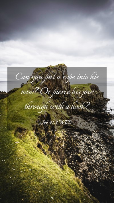 Picture 03 - Job 41:2 WEB Mobile Phone Wallpaper - Can you put a rope into his nose? Or pierce his - Mobile Bible Verse Wallpaper
