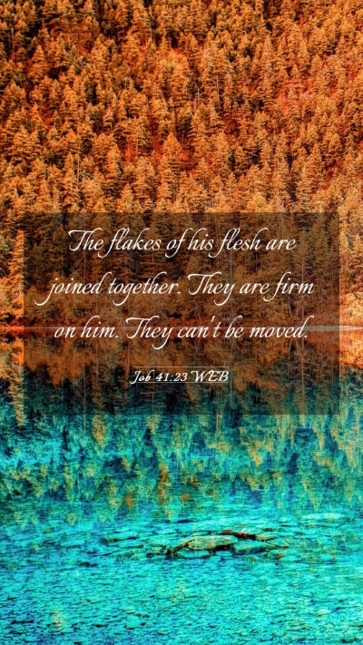 Picture 03 - Job 41:23 WEB Mobile Phone Wallpaper - The flakes of his flesh are joined together. They - Mobile Bible Verse Wallpaper