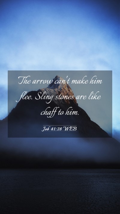 Picture 03 - Job 41:28 WEB Mobile Phone Wallpaper - The arrow can't make him flee. Sling stones are - Mobile Bible Verse Wallpaper