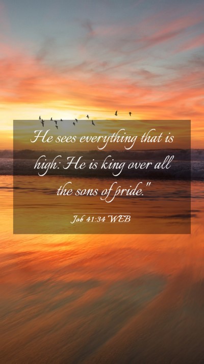 Picture 03 - Job 41:34 WEB Mobile Phone Wallpaper - He sees everything that is high: He is king over - Mobile Bible Verse Wallpaper