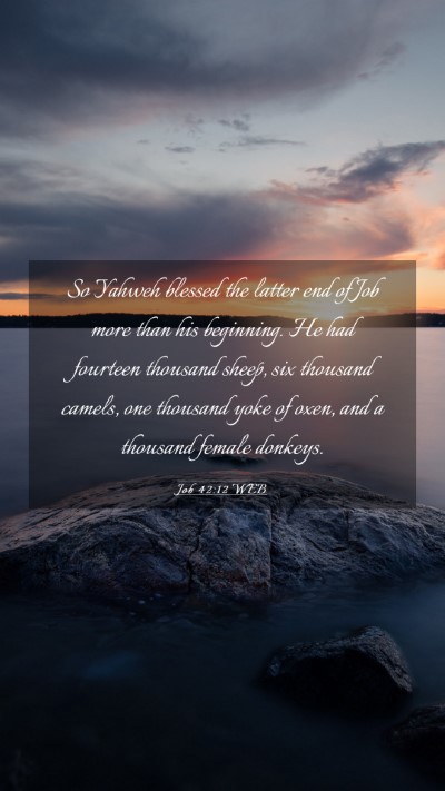 Picture 03 - Job 42:12 WEB Mobile Phone Wallpaper - So Yahweh blessed the latter end of Job more than - Mobile Bible Verse Wallpaper