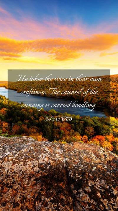 Picture 03 - Job 5:13 WEB Mobile Phone Wallpaper - He takes the wise in their own craftiness; The - Mobile Bible Verse Wallpaper