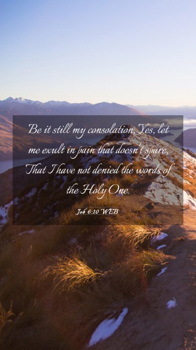 Picture 03 - Job 6:10 WEB Mobile Phone Wallpaper - Be it still my consolation, Yes, let me exult in - Mobile Bible Verse Wallpaper