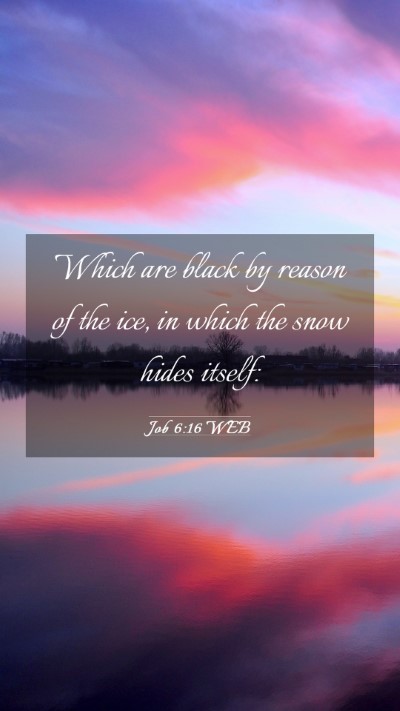 Picture 03 - Job 6:16 WEB Mobile Phone Wallpaper - Which are black by reason of the ice, in which - Mobile Bible Verse Wallpaper