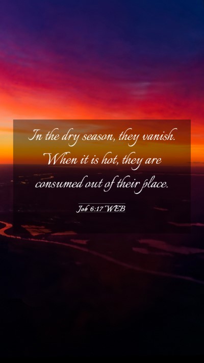 Picture 03 - Job 6:17 WEB Mobile Phone Wallpaper - In the dry season, they vanish. When it is hot, - Mobile Bible Verse Wallpaper