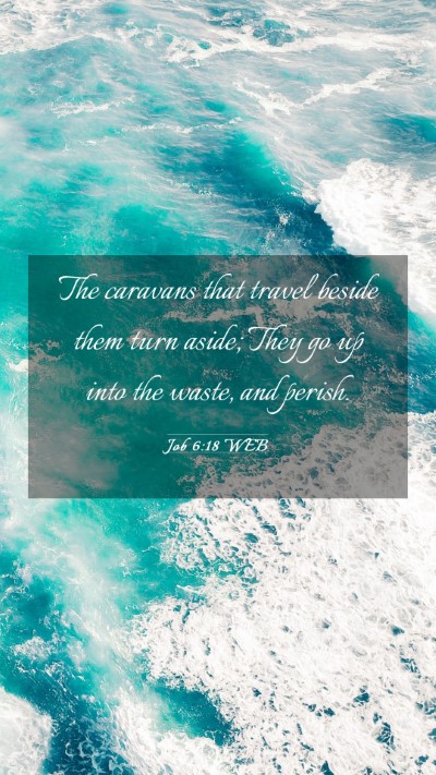 Picture 03 - Job 6:18 WEB Mobile Phone Wallpaper - The caravans that travel beside them turn aside; - Mobile Bible Verse Wallpaper