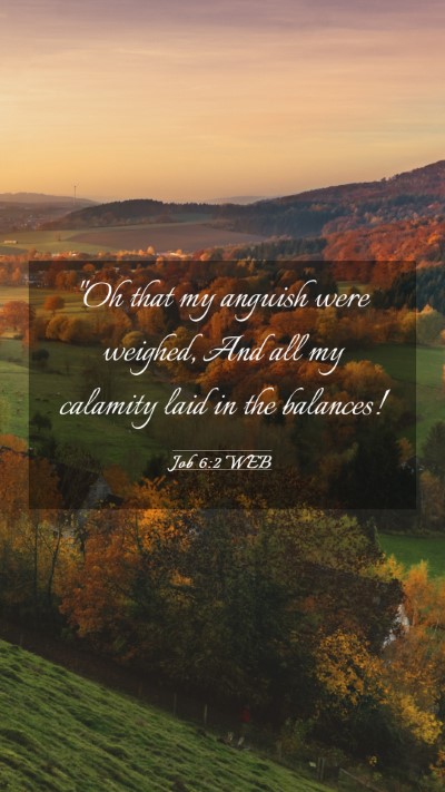 Picture 03 - Job 6:2 WEB Mobile Phone Wallpaper - 