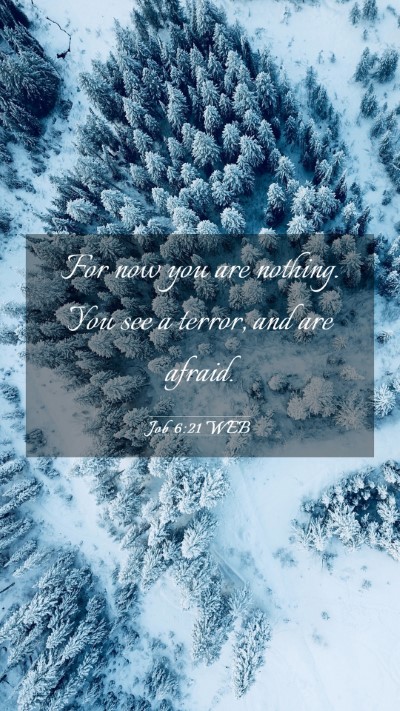 Picture 03 - Job 6:21 WEB Mobile Phone Wallpaper - For now you are nothing. You see a terror, and - Mobile Bible Verse Wallpaper