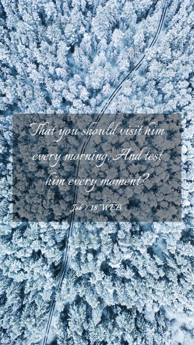Picture 03 - Job 7:18 WEB Mobile Phone Wallpaper - That you should visit him every morning, And test - Mobile Bible Verse Wallpaper
