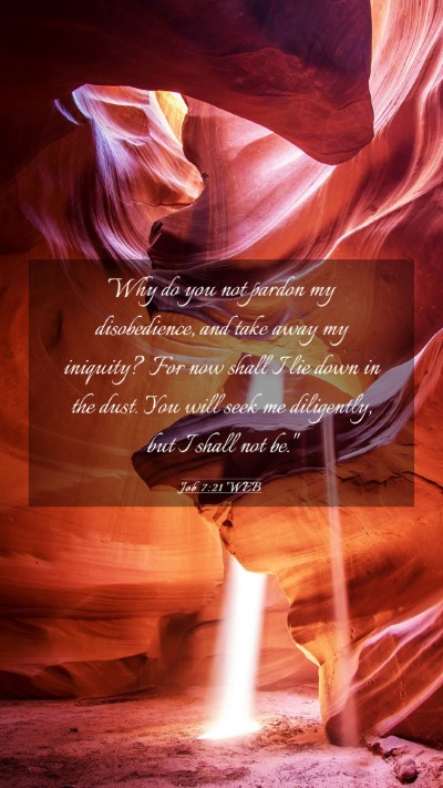 Picture 03 - Job 7:21 WEB Mobile Phone Wallpaper - Why do you not pardon my disobedience, and take - Mobile Bible Verse Wallpaper