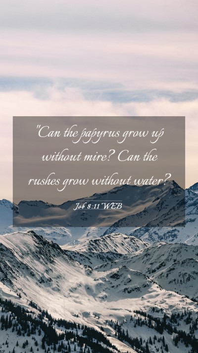 Picture 03 - Job 8:11 WEB Mobile Phone Wallpaper - 