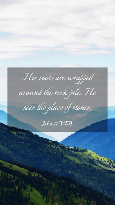 Picture 03 - Job 8:17 WEB Mobile Phone Wallpaper - His roots are wrapped around the rock pile, He - Mobile Bible Verse Wallpaper