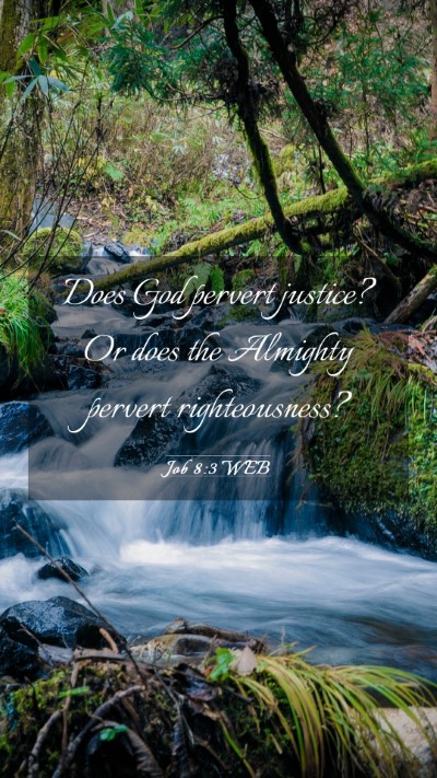 Picture 03 - Job 8:3 WEB Mobile Phone Wallpaper - Does God pervert justice? Or does the Almighty - Mobile Bible Verse Wallpaper