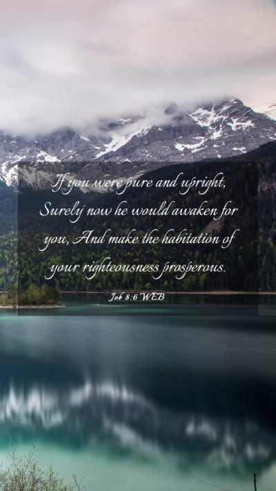 Picture 03 - Job 8:6 WEB Mobile Phone Wallpaper - If you were pure and upright, Surely now he would - Mobile Bible Verse Wallpaper