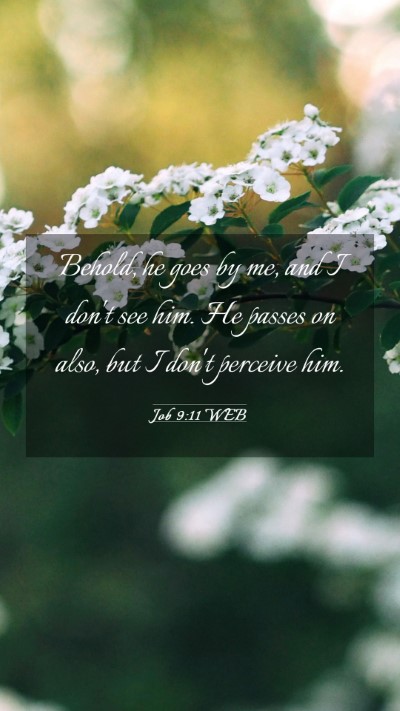 Picture 03 - Job 9:11 WEB Mobile Phone Wallpaper - Behold, he goes by me, and I don't see him. He - Mobile Bible Verse Wallpaper