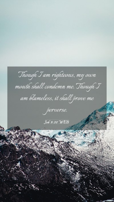 Picture 03 - Job 9:20 WEB Mobile Phone Wallpaper - Though I am righteous, my own mouth shall condemn - Mobile Bible Verse Wallpaper