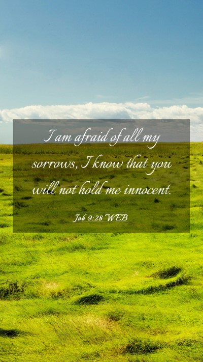Picture 03 - Job 9:28 WEB Mobile Phone Wallpaper - I am afraid of all my sorrows, I know that you - Mobile Bible Verse Wallpaper