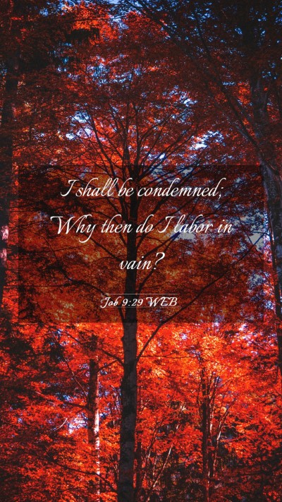 Picture 03 - Job 9:29 WEB Mobile Phone Wallpaper - I shall be condemned; Why then do I labor in - Mobile Bible Verse Wallpaper