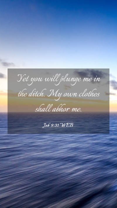 Picture 03 - Job 9:31 WEB Mobile Phone Wallpaper - Yet you will plunge me in the ditch. My own - Mobile Bible Verse Wallpaper