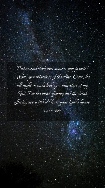 Picture 03 - Joel 1:13 WEB Mobile Phone Wallpaper - Put on sackcloth and mourn, you priests! Wail, - Mobile Bible Verse Wallpaper