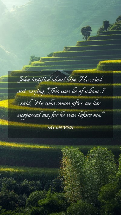 Picture 03 - John 1:15 WEB Mobile Phone Wallpaper - John testified about him. He cried out, saying, - Mobile Bible Verse Wallpaper
