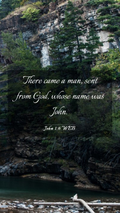 Picture 03 - John 1:6 WEB Mobile Phone Wallpaper - There came a man, sent from God, whose name was - Mobile Bible Verse Wallpaper